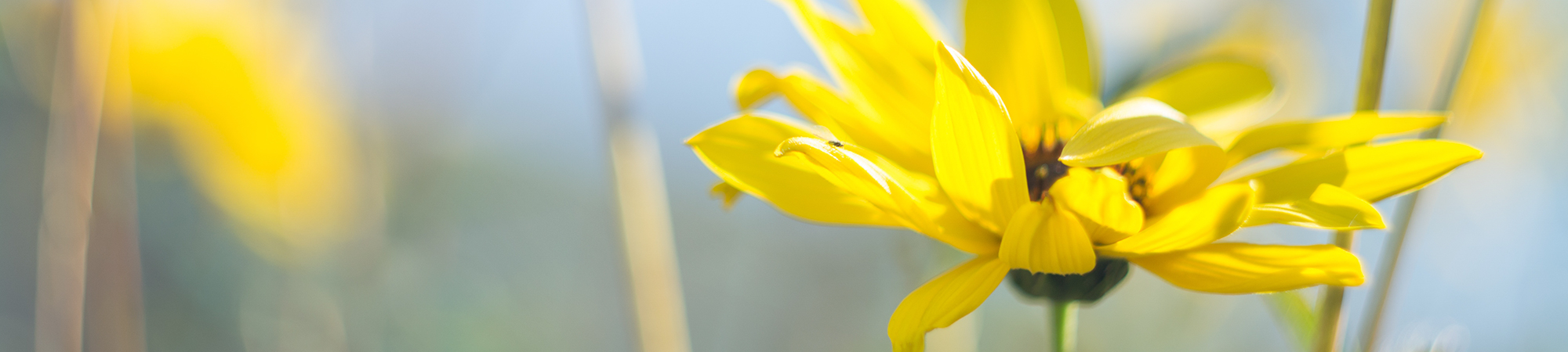 Contact-Jayme-Hull-2