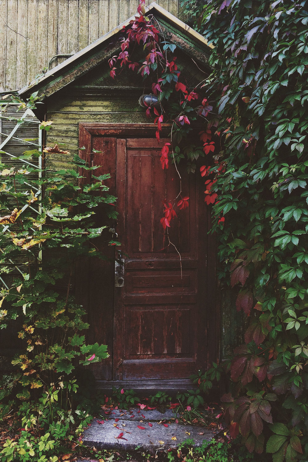 Christmas Door