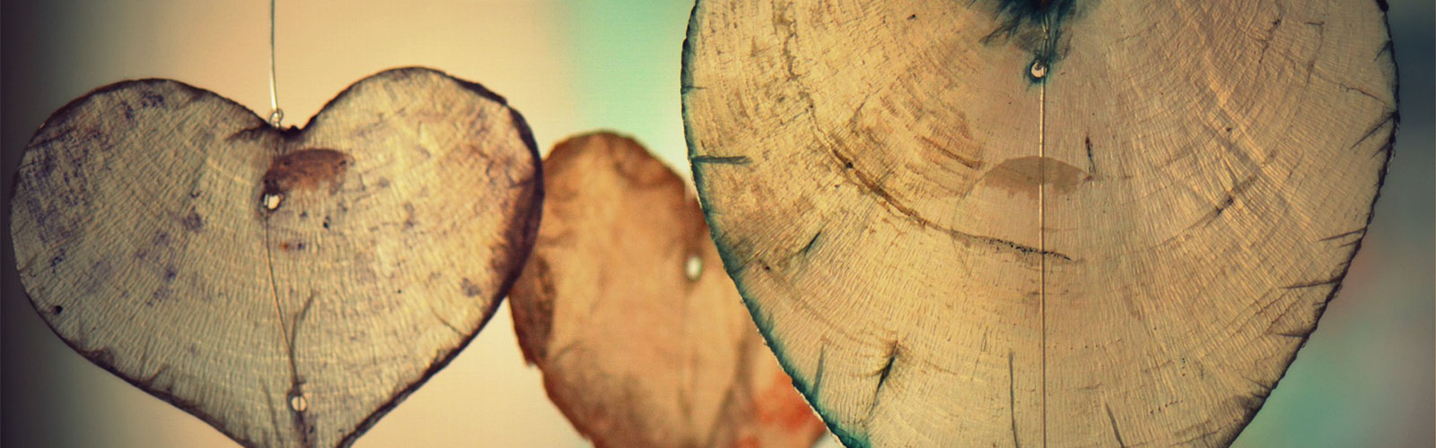 Worship Wholeheartedly