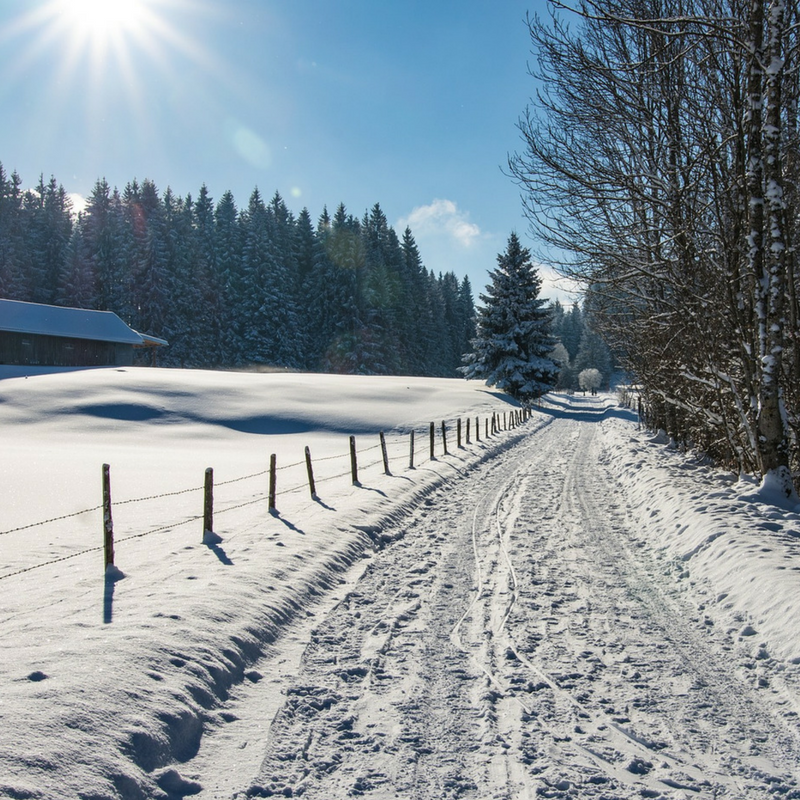 Old Paths For A New Year