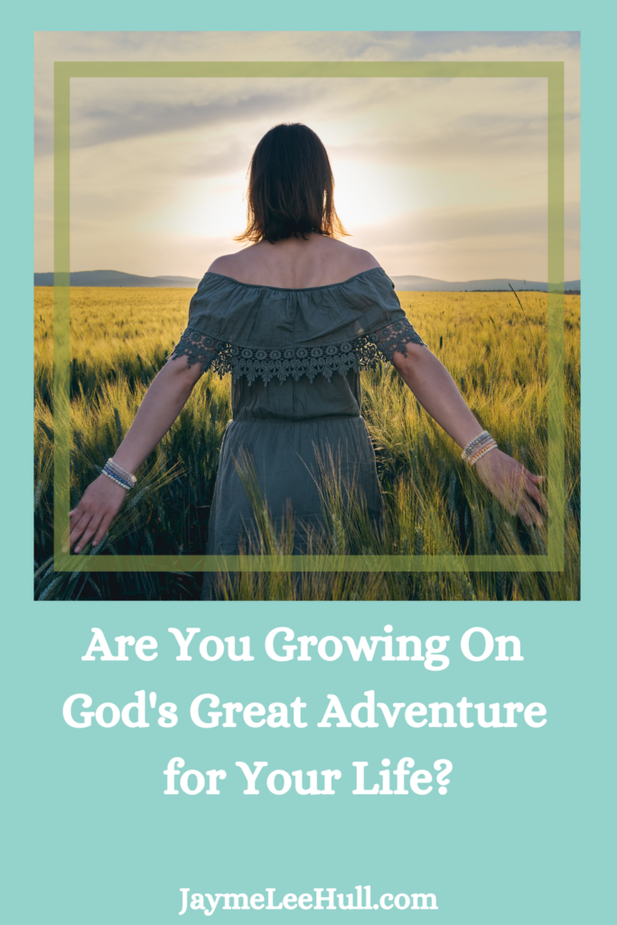 Are you growing on God's Great Adventure for your life? Only by the grace of God and my mentor am I able to find my purpose and direction.